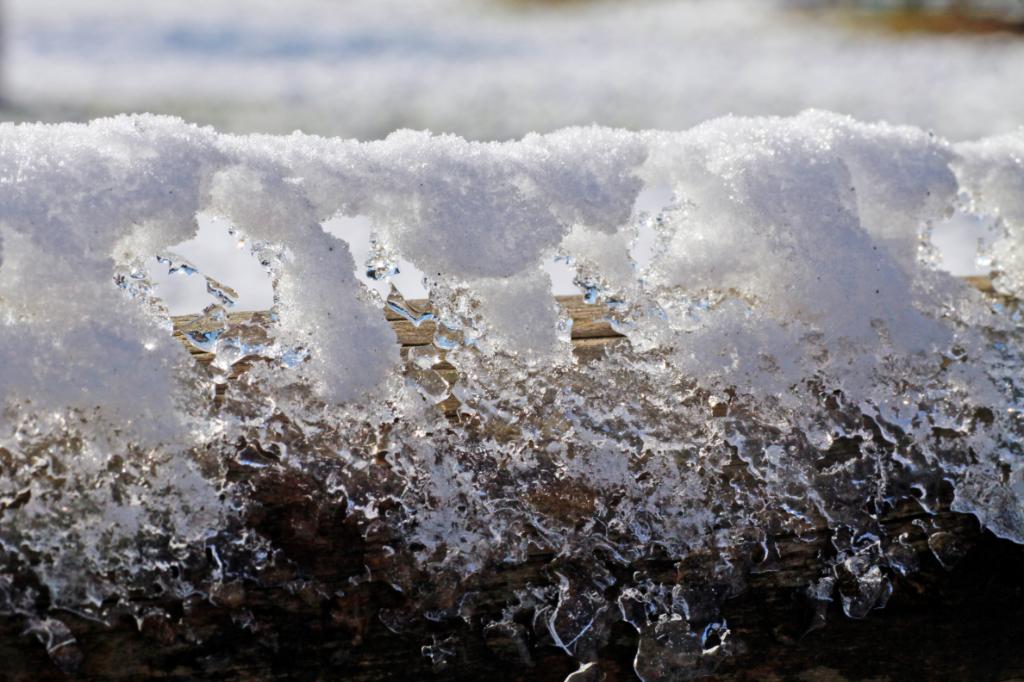 Eisgebilde auf Holz.JPG - Eisgebilde auf Holz